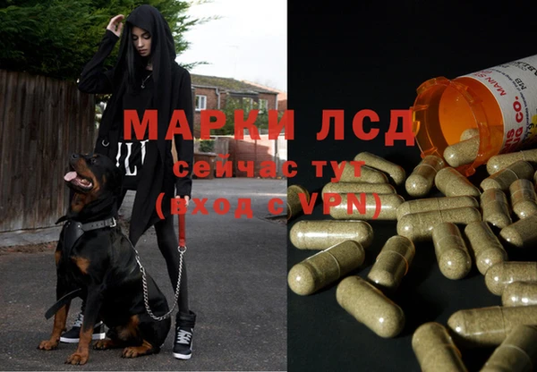дурь Аркадак