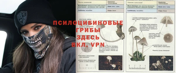 дурь Аркадак